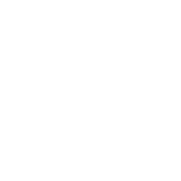 Icon 3